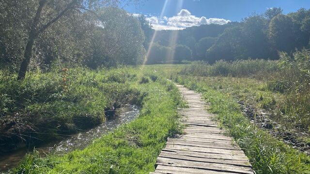 Bažiny a celebrity aneb výlet do Prahy