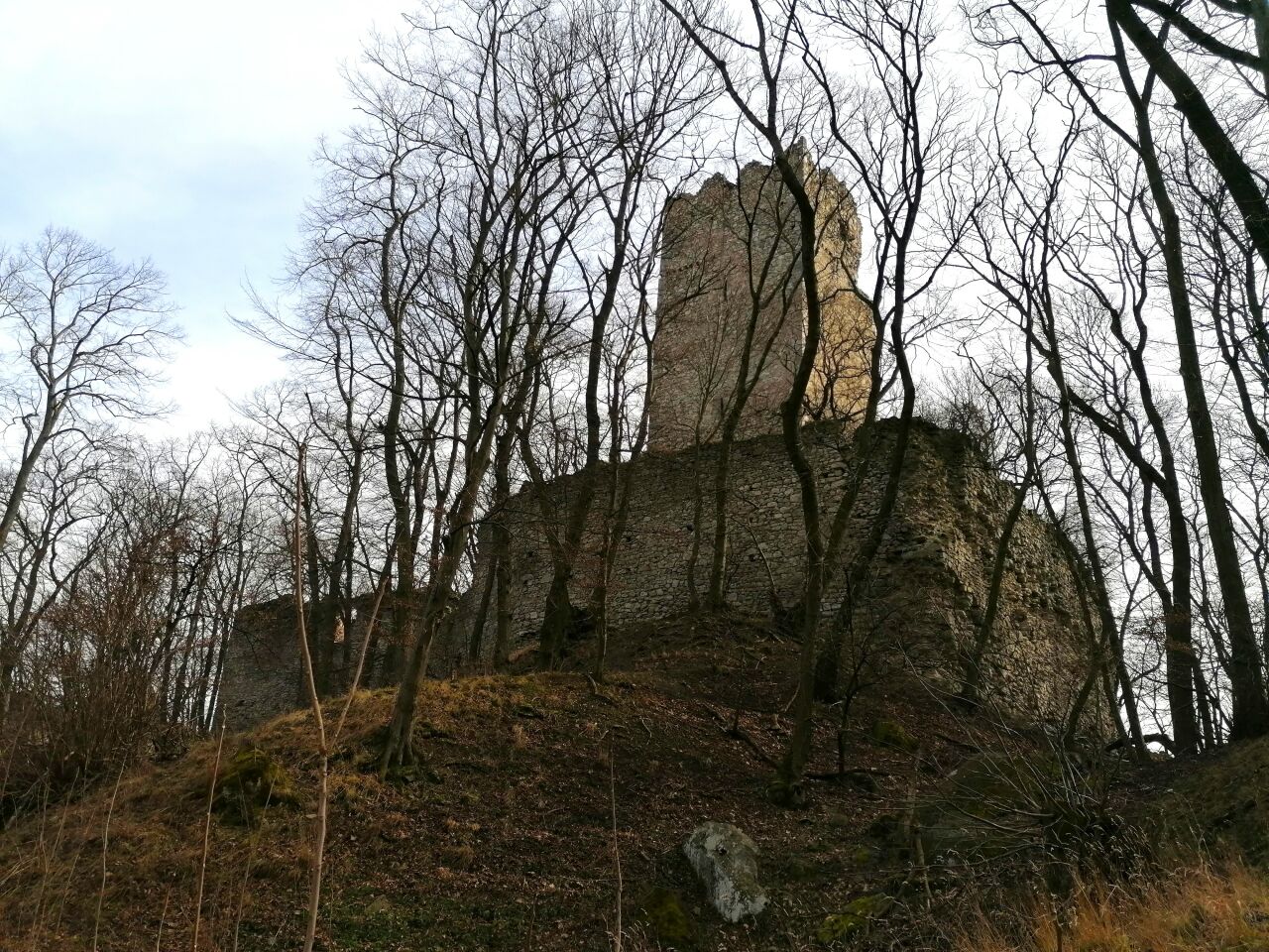 Wolfsthal