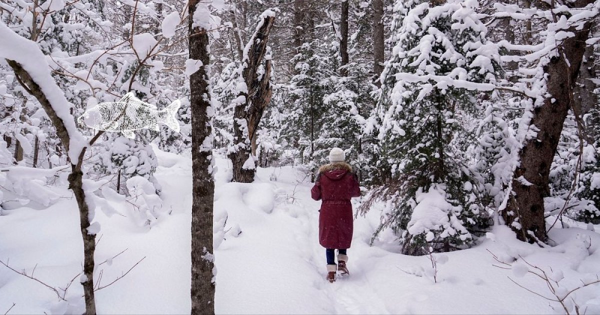 Sakra, jdu vypotit kapra 2024