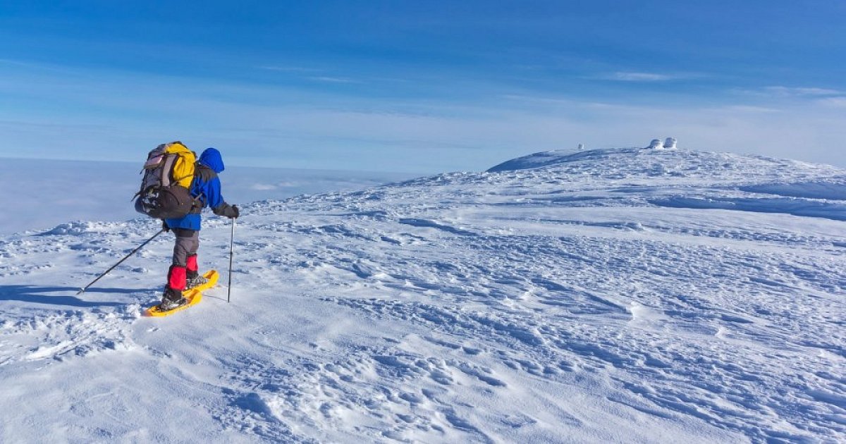 Safra, jdu vypotit kapra 2023