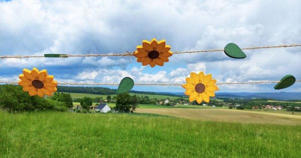 Srdíčková výzva 2024