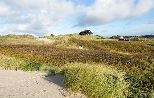 Danimarca