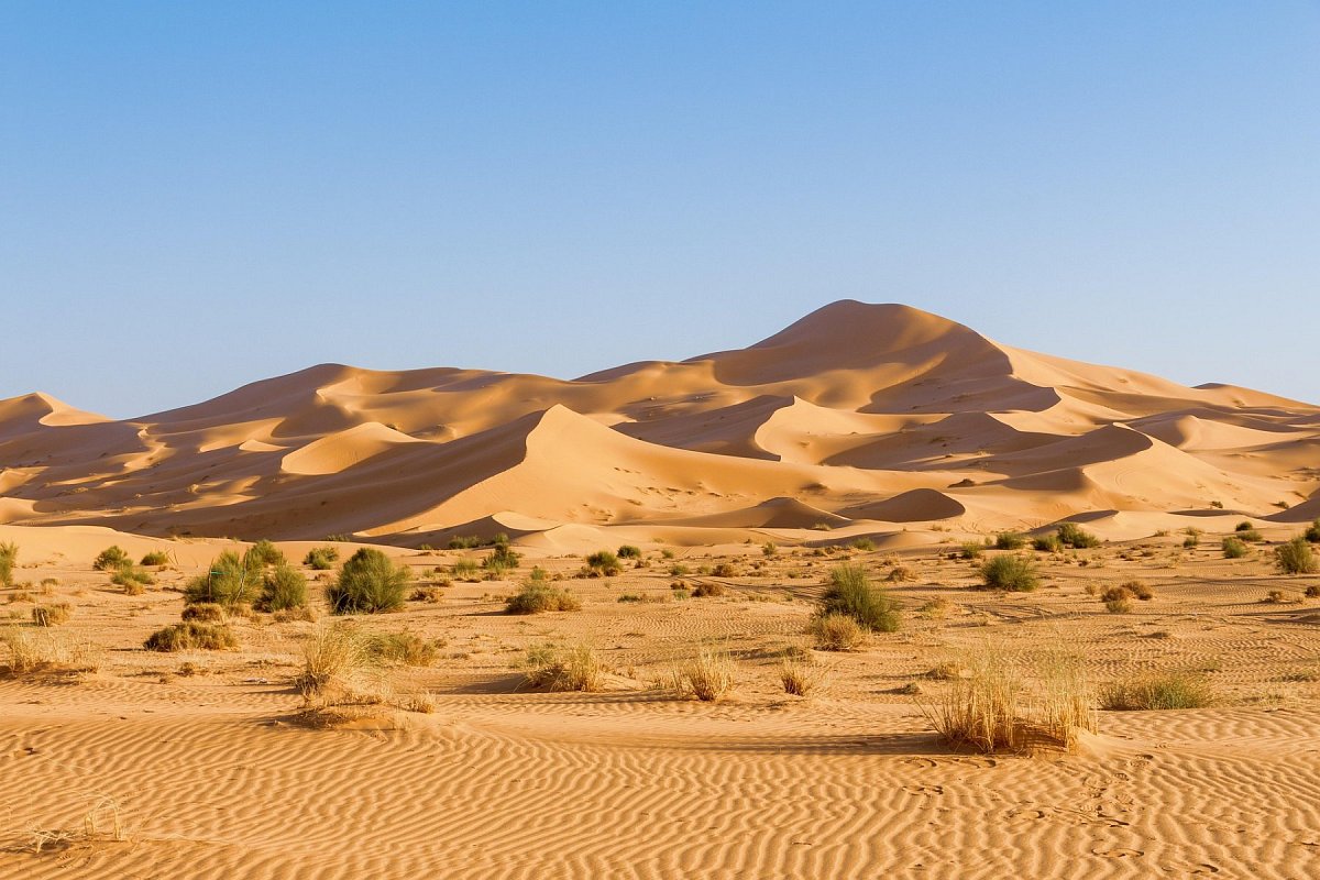Sahara occidentale