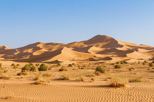 Sahara occidentale