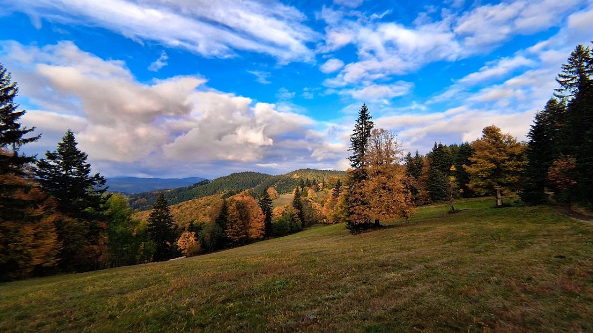 Javorníček (864&nbsp;m)
