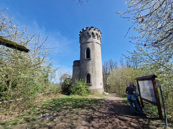 Děd
