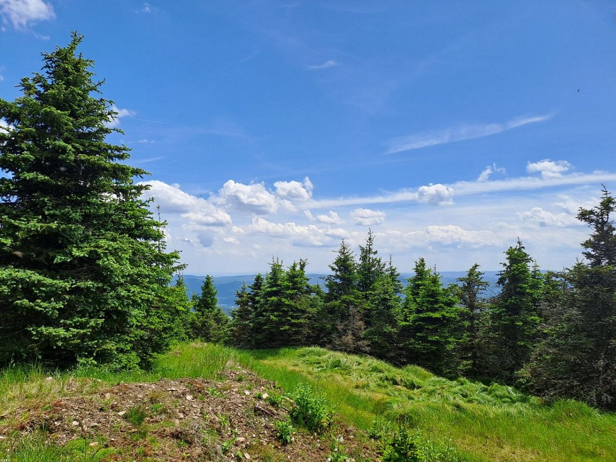 Vysoká seč (1007&nbsp;m)