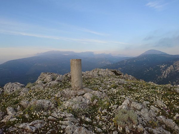 Άρμα