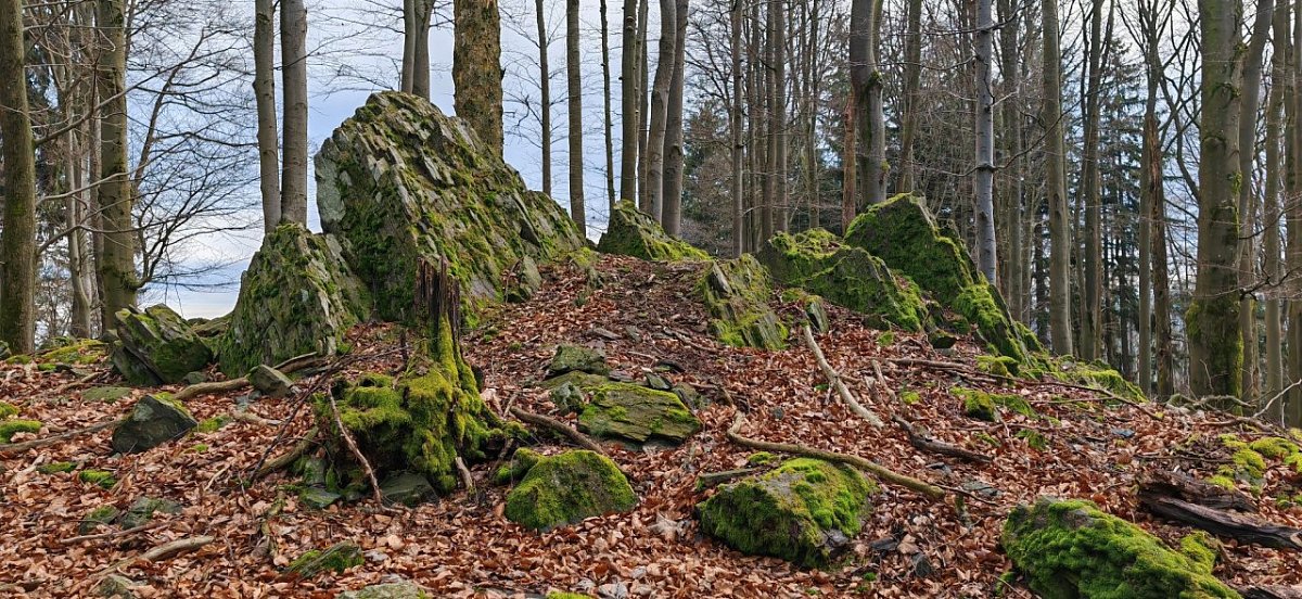Malý Lišák (698&nbsp;m)