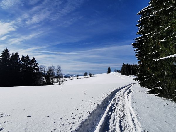 Bolkovský vrch