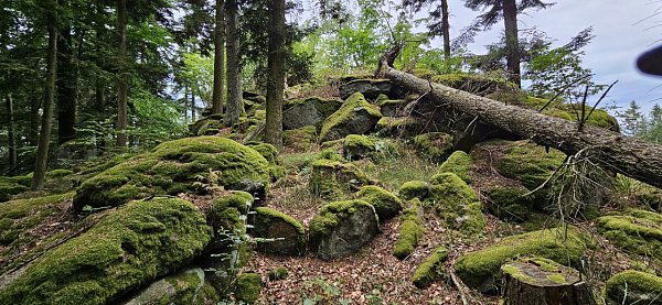 Kuřský vrch