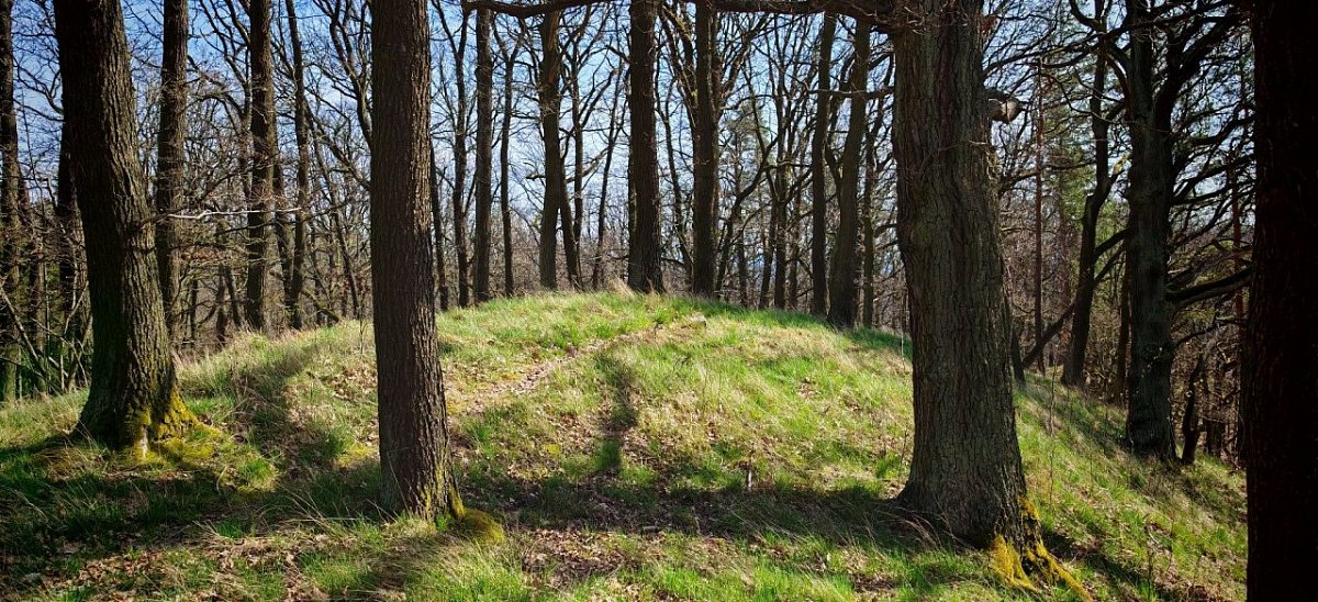 Nad Bezručákem (511&nbsp;m)