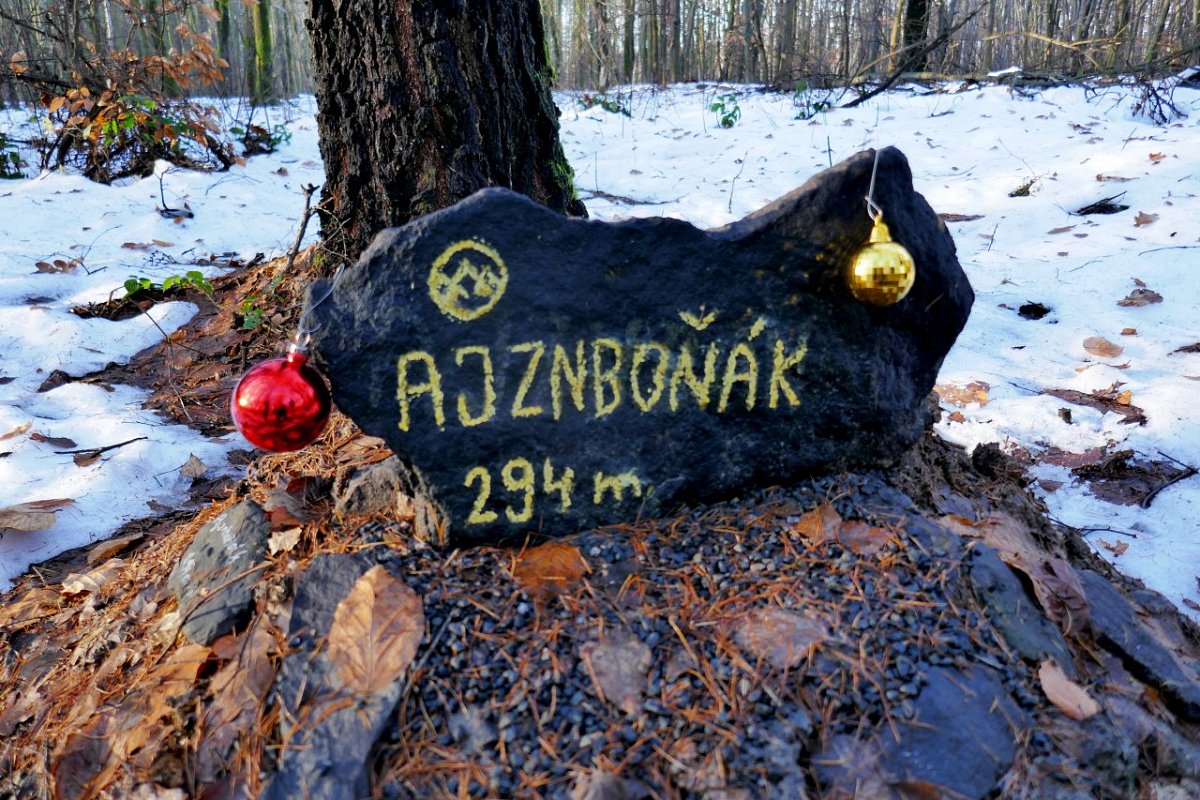 Ajznboňák (294&nbsp;m)