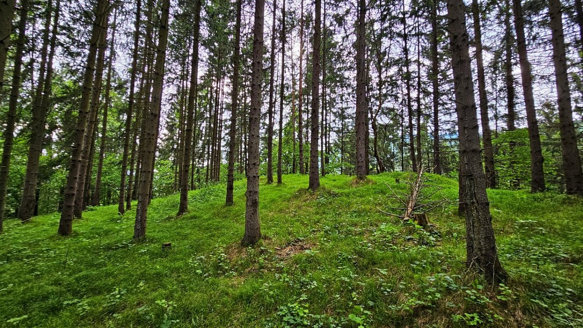 Hrádok (555&nbsp;m)