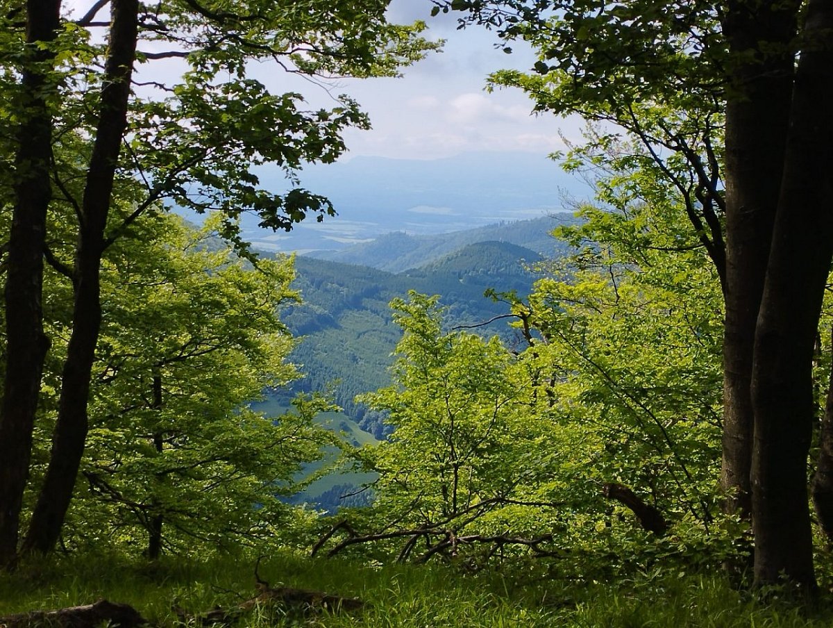 Košiarka (1107&nbsp;m)