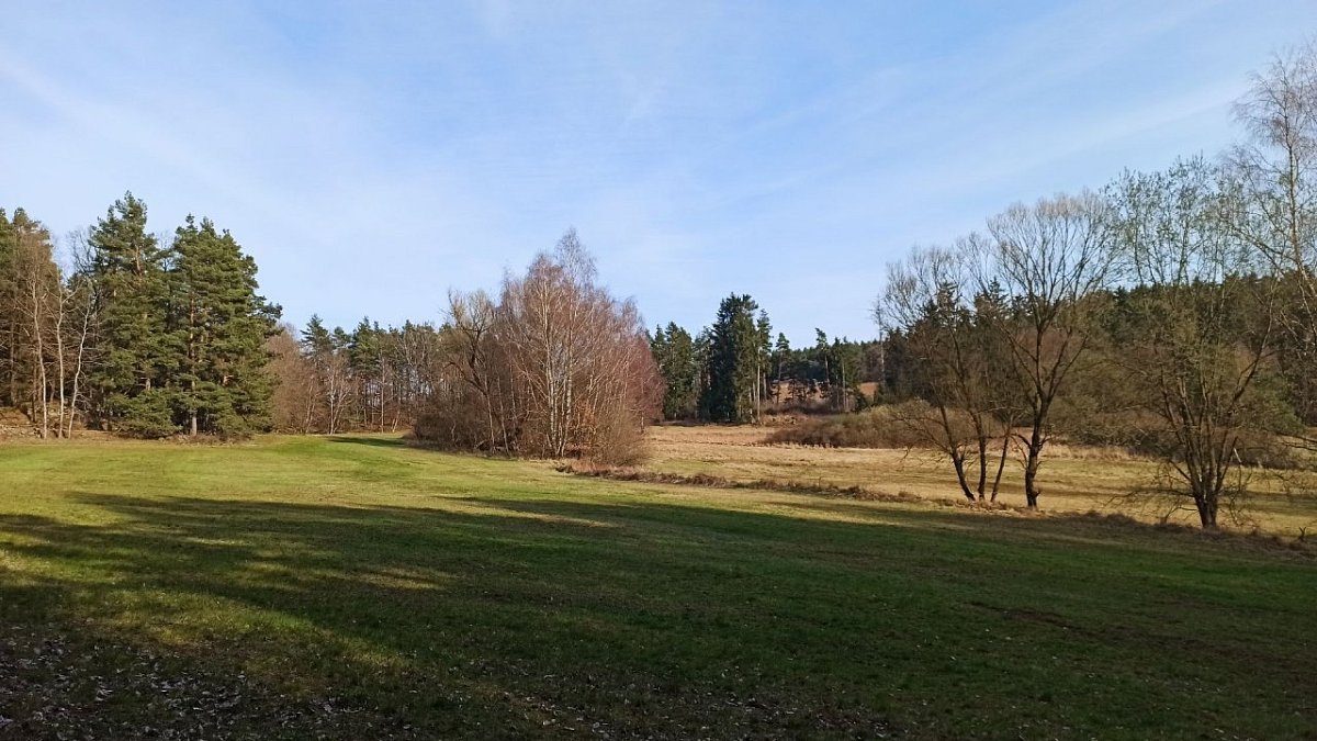 Vrchy (559&nbsp;m)