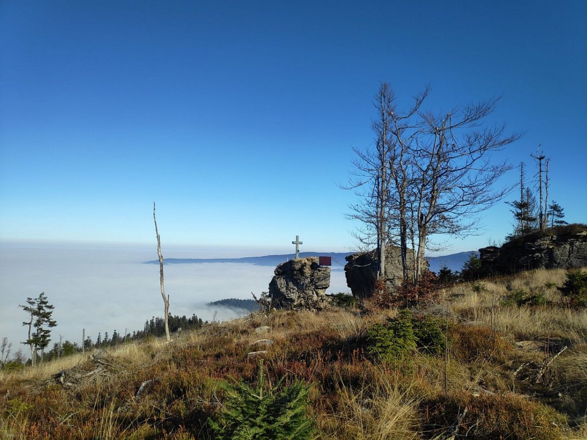 Ödriegel (1154&nbsp;m)