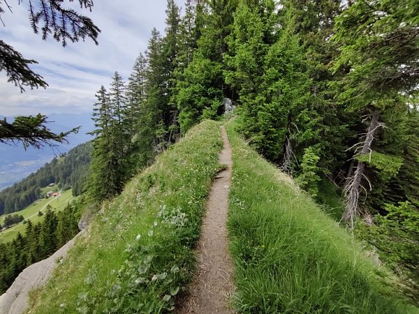 Plattenspitz