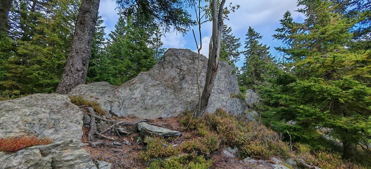 Černá skála (1131&nbsp;m)