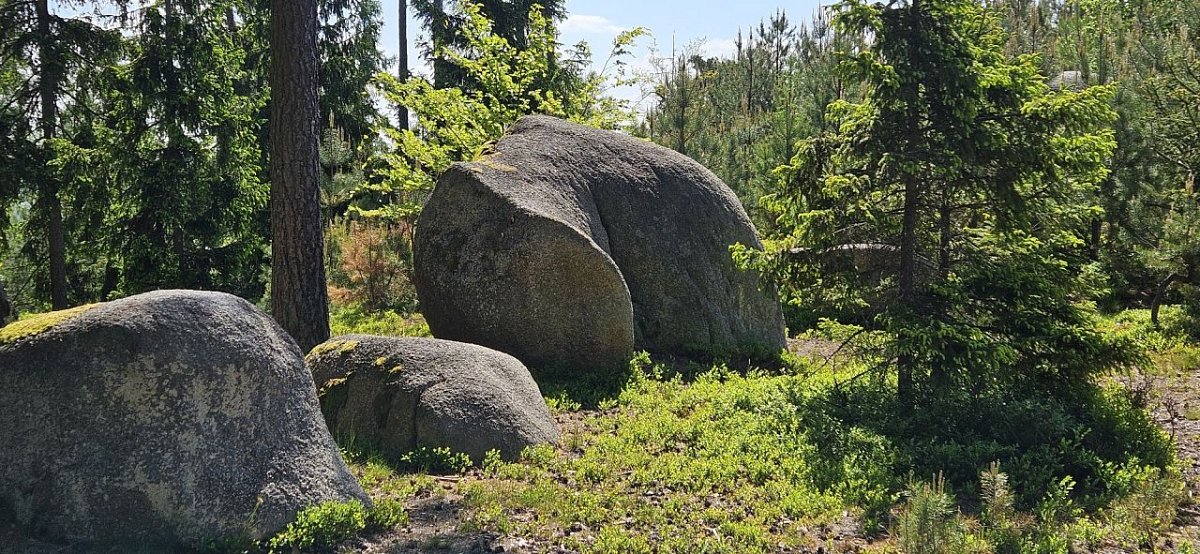 Rozsocha (600&nbsp;m)