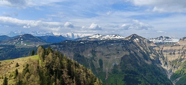 Wieslerhorn