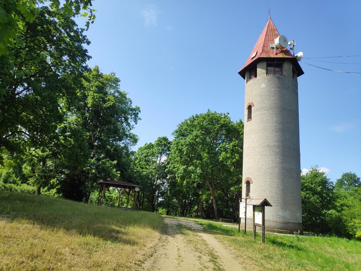 Bohušův vrch (578&nbsp;m)