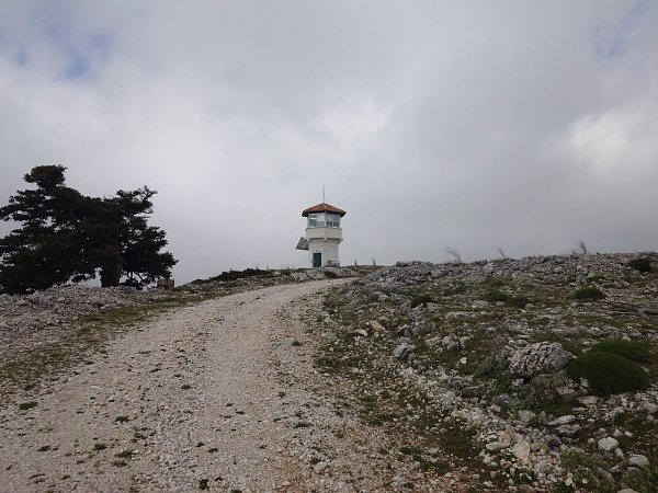 Κυρά