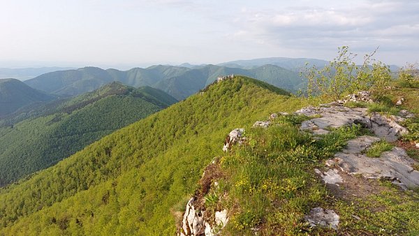 Rovné skaly