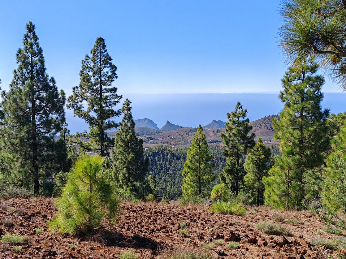 Montaña de los Lirios (1568&nbsp;m)