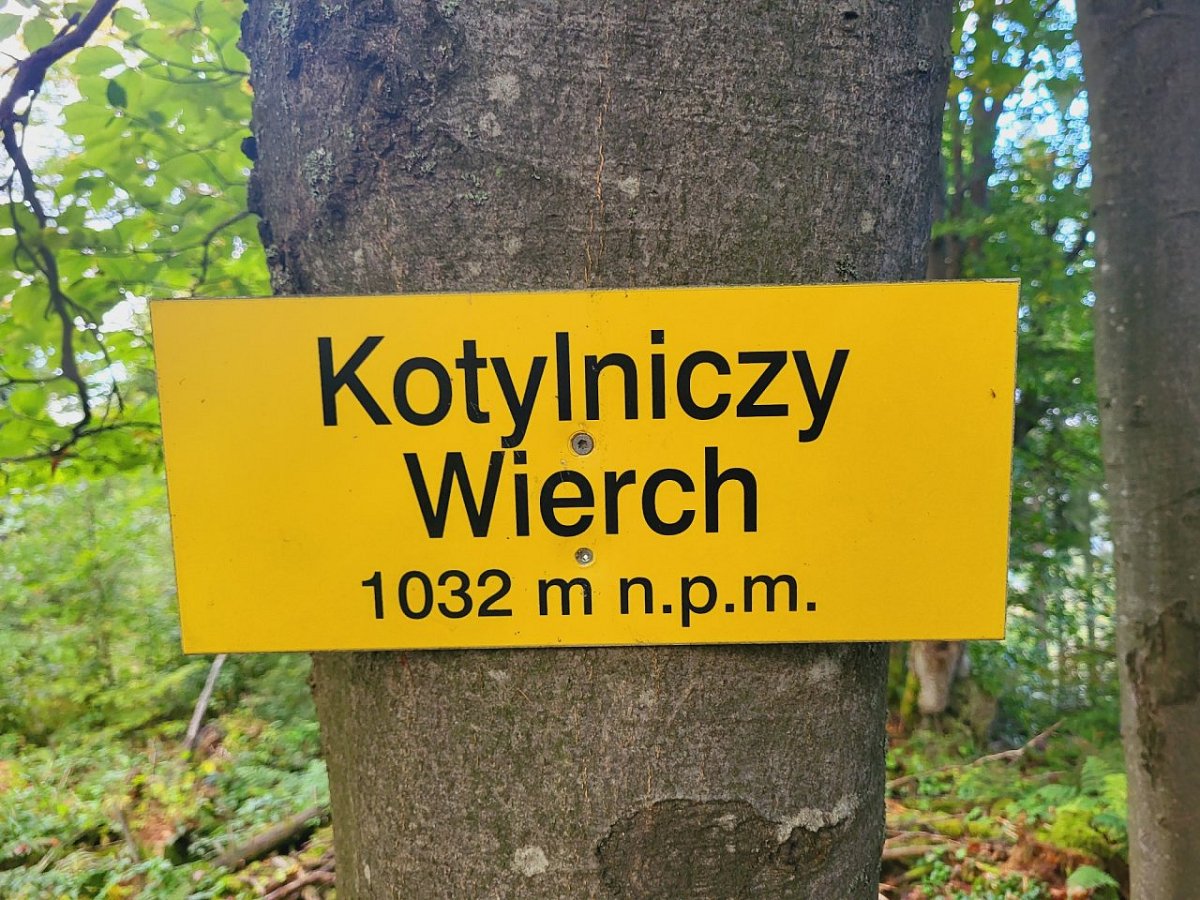 Kotylniczy Wierch (1032&nbsp;m)