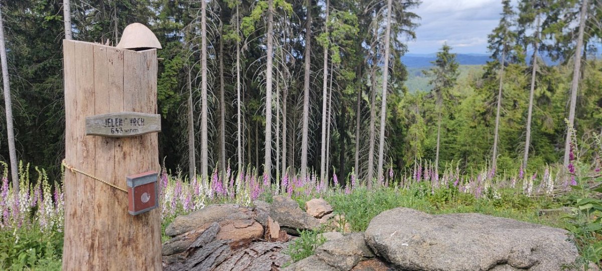 Jelení vrch (644&nbsp;m)