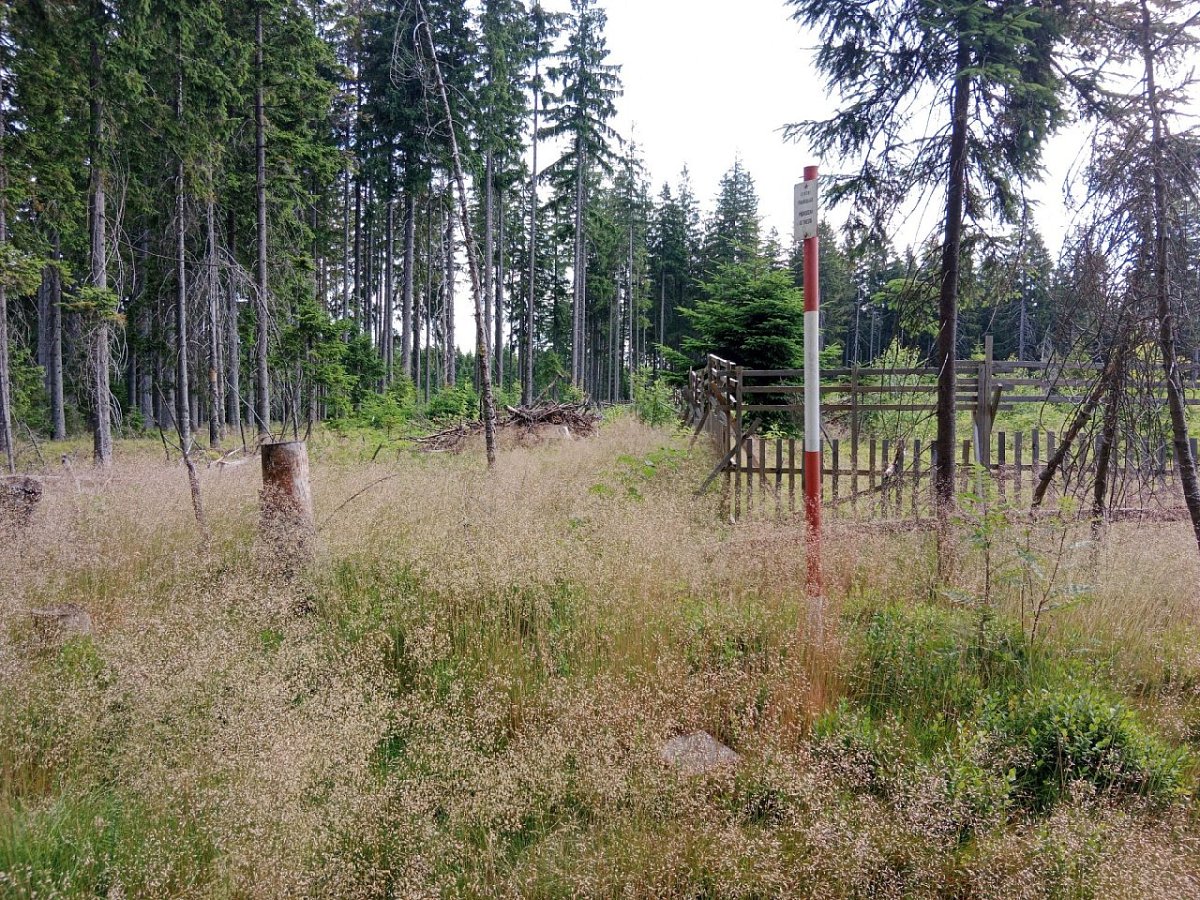 Pod Pancířem (1029&nbsp;m)