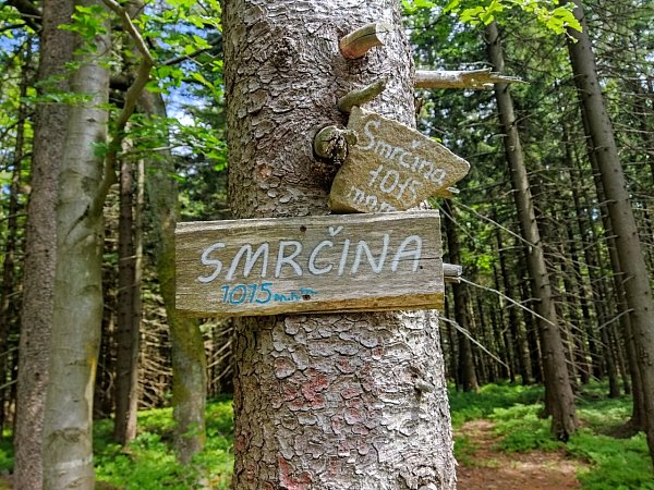 Smrčina