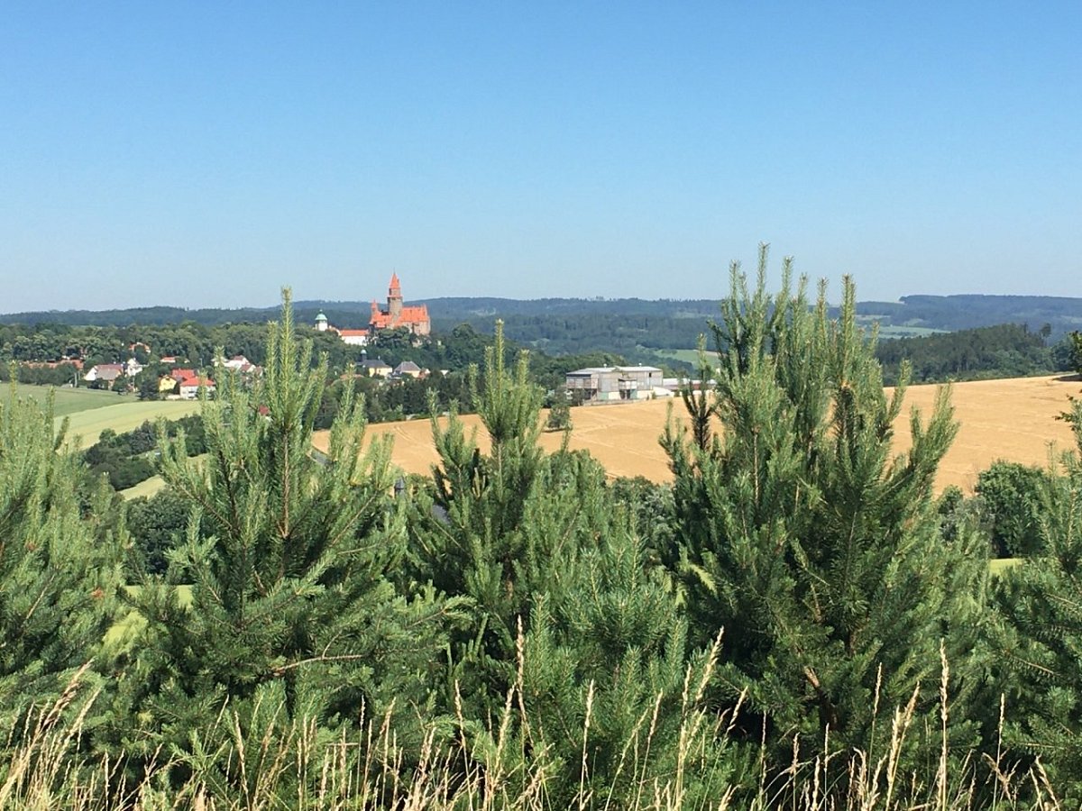 Šibeniční vrch (429&nbsp;m)