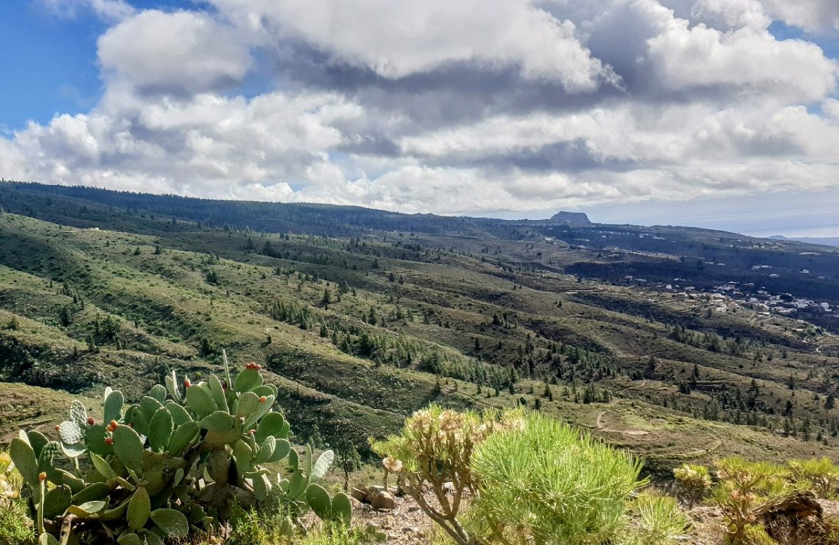 Montaña de Tejina (1047&nbsp;m)