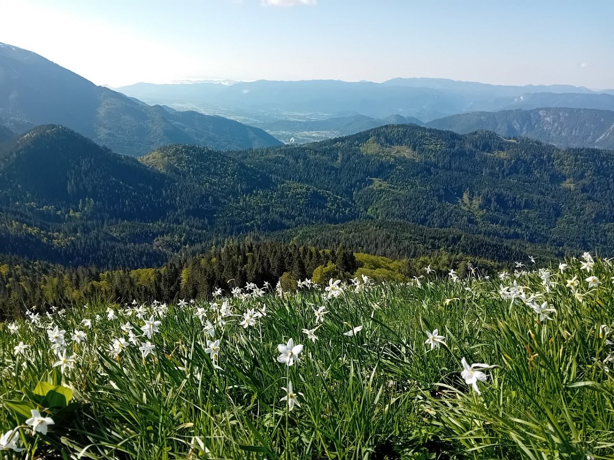 Mala Golica (1646&nbsp;m)