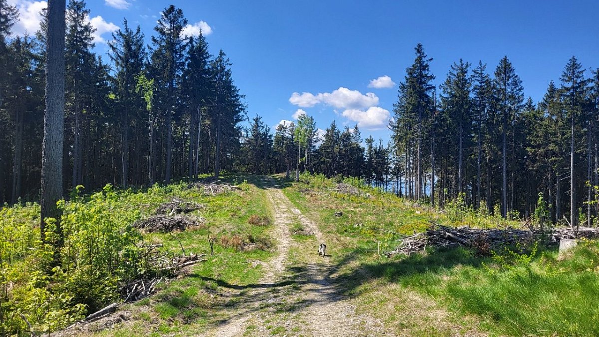 Katčin krpál (816&nbsp;m)