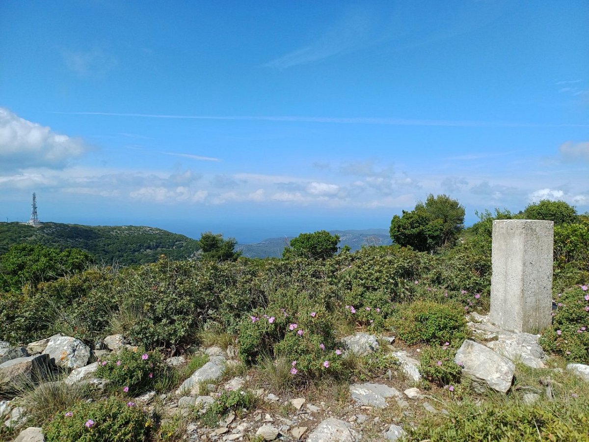 Παλούκι (567&nbsp;m)