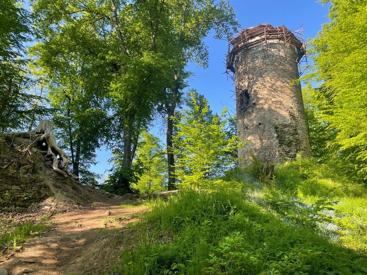 Chřenovice - zřícenina (390&nbsp;m)