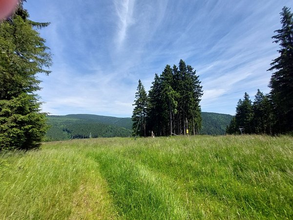 Ostružník