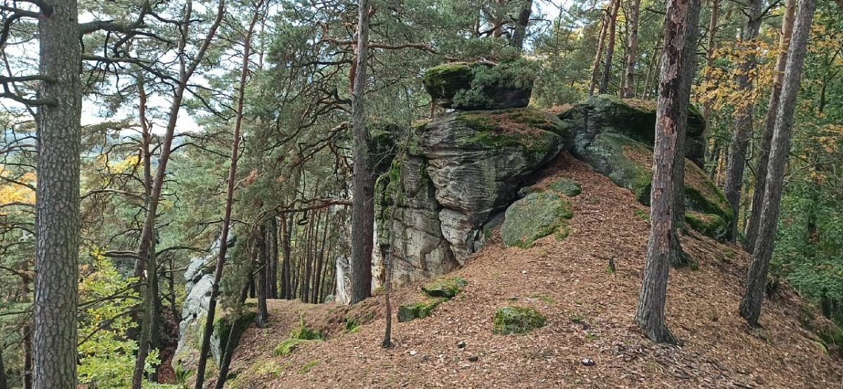 Vepřsko (363&nbsp;m)
