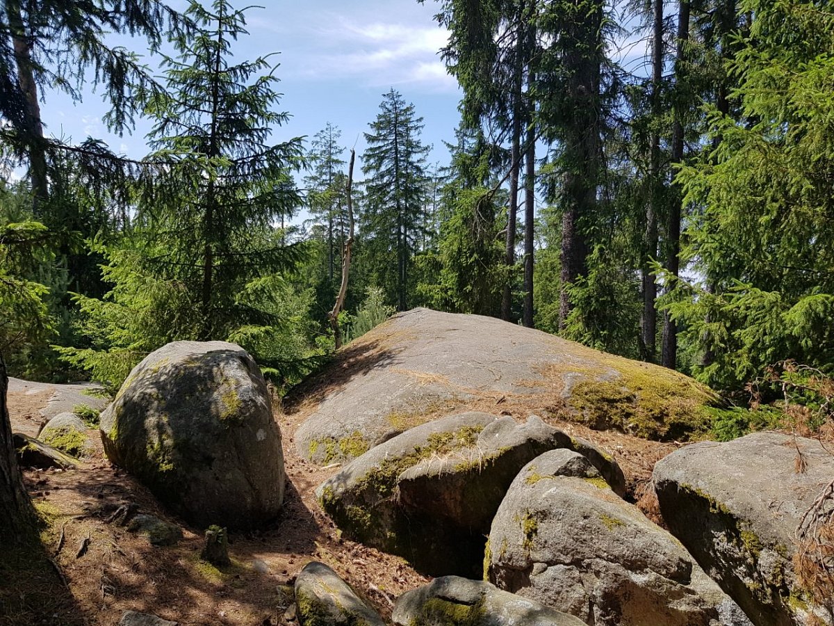 Jezevčí vrch (449&nbsp;m)