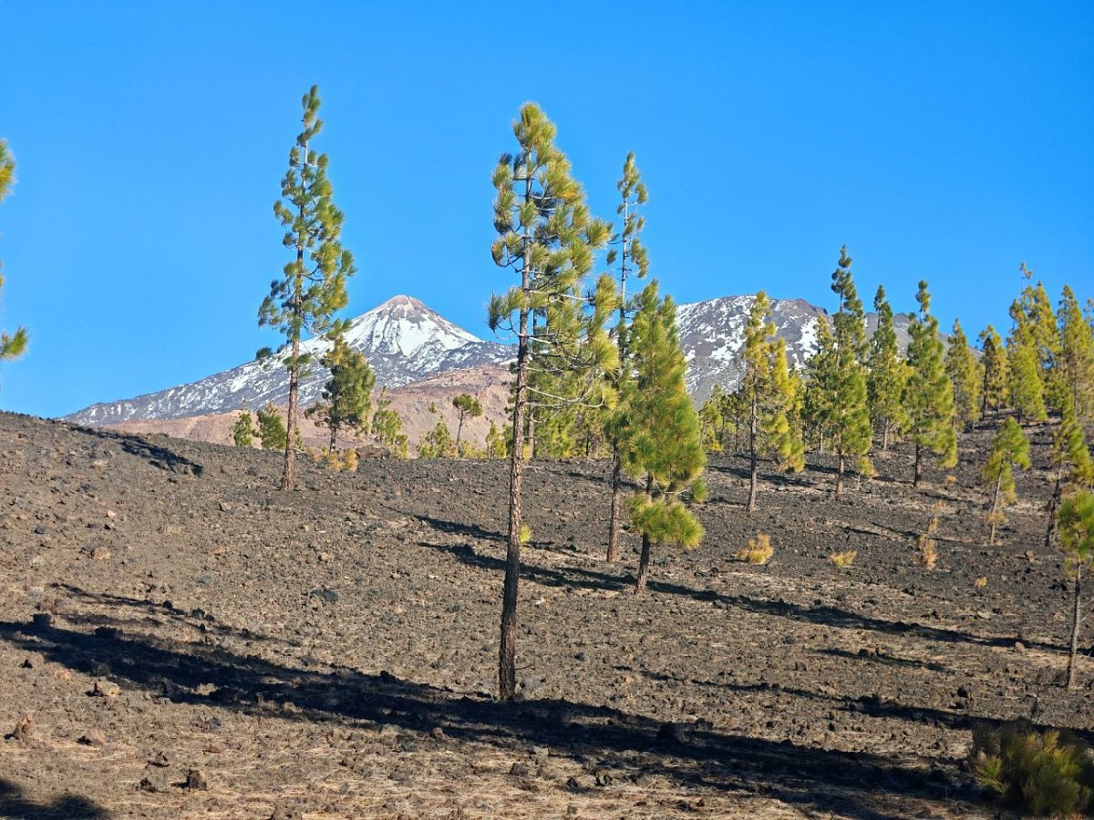 Montaña Sámara - South peak (1932&nbsp;m)