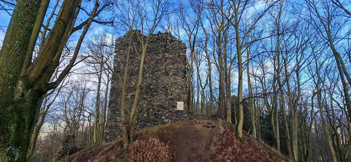Netřeb (597&nbsp;m)