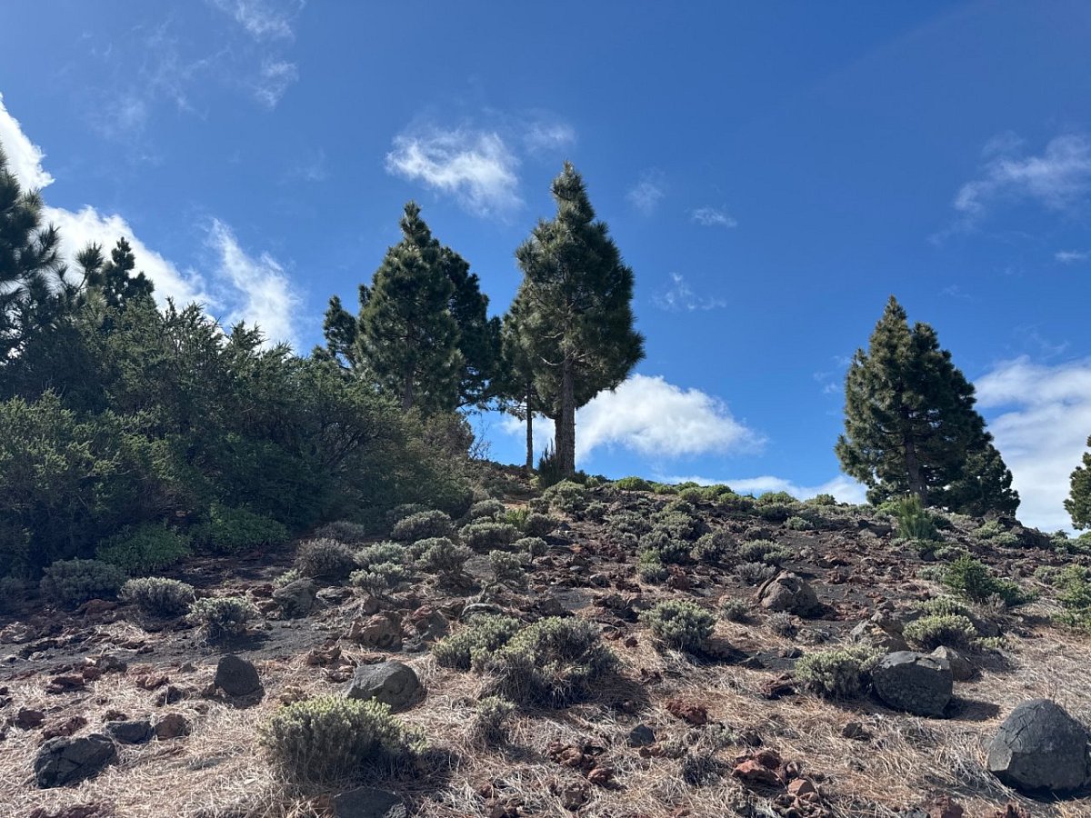 Montaña Pelada (1813&nbsp;m)