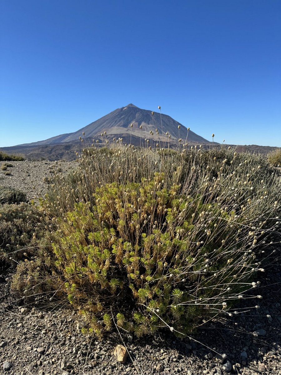 Morro Negro (2335&nbsp;m)