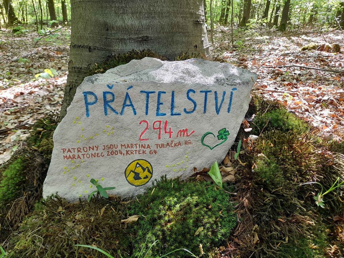 Přátelství (294&nbsp;m)