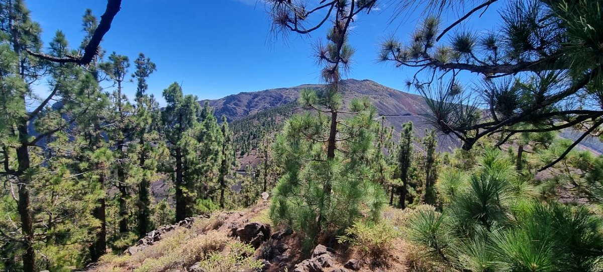Montaña de las Cuevas (2061&nbsp;m)