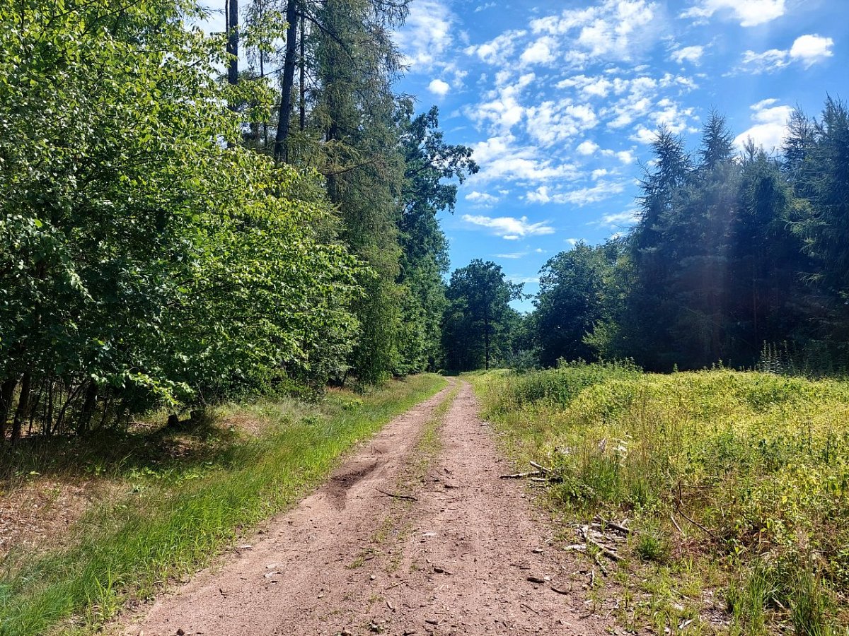 Oborský vrch (208&nbsp;m)