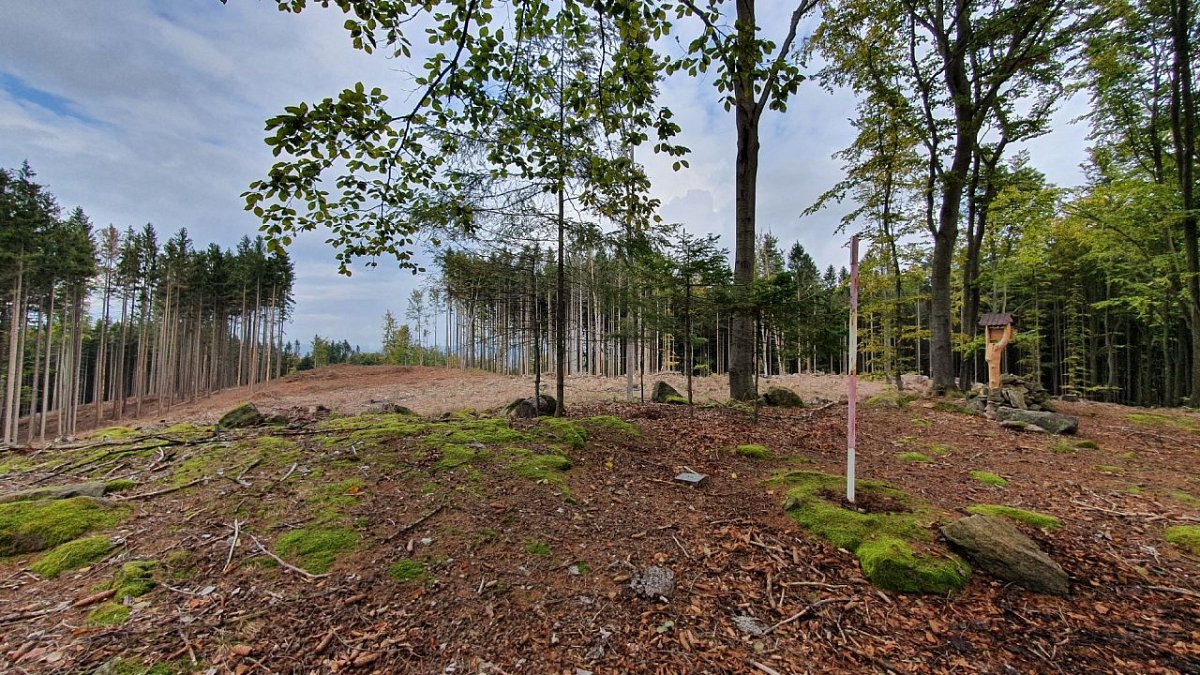 Vlčí hůra (636&nbsp;m)